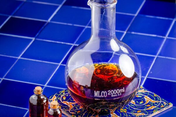 photo_16_2023-03-26_14-31-11